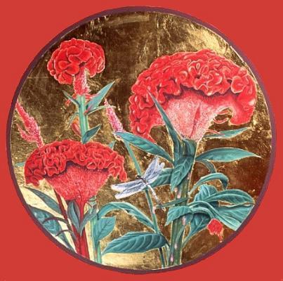 Celosia argentea