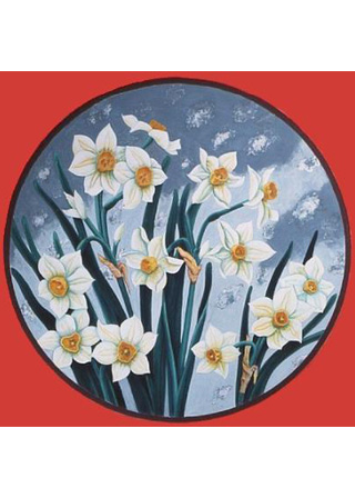 Narcissus