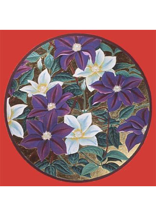 Clematis
